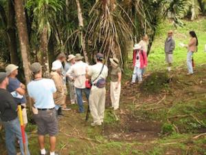 IMG_2928.JPG